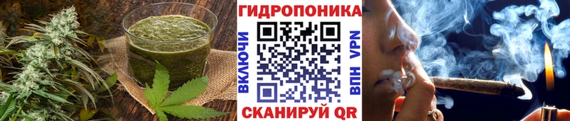 Canna-Cookies конопля  Динская 