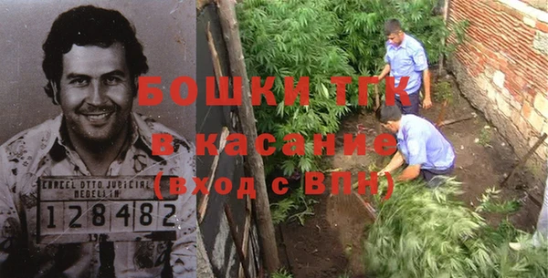 прущие грибы Алзамай