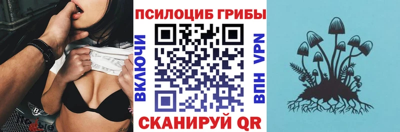 где купить наркотик Динская MEGA зеркало Галлюциногенные грибы мухоморы